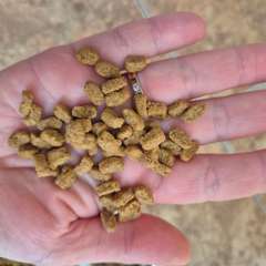 Фото отзыва 10594085