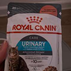 Фото отзыва 10758258