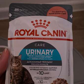 Корм для кошек ROYAL CANIN Urinary Care для поддержания здоровья мочевыделительной системы 85г: отзыв пользователя. Зоомагазин Зоозавр