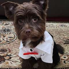 Фото отзыва 10747230