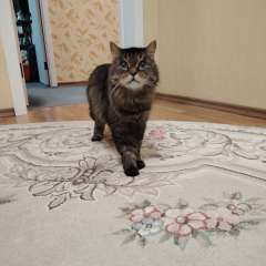 Фото отзыва 10945590