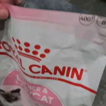 Корм для котят Royal Canin Mother and Babycat 400г: отзыв пользователя. Зоомагазин Зоозавр