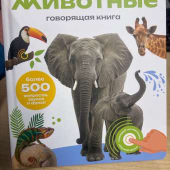 Комплект говорящих книжек BertToys Нажималки: Животные + Цвета: отзыв пользователя Детский Мир