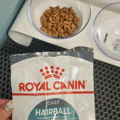 Фото отзыва 10955713