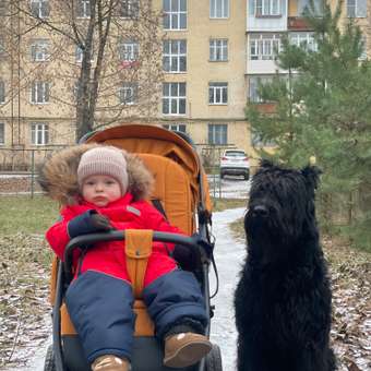 Комбинезон Stylish AMADEO: отзыв пользователя Детский Мир