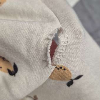 Боди 3 шт Carrot: отзыв пользователя Детский Мир