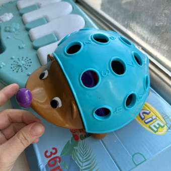 Игрушка Ocie сортер: отзыв пользователя Детский Мир