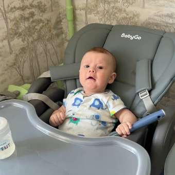 Стульчик для кормления BabyGo Sweet Meals New серый: отзыв пользователя ДетМир