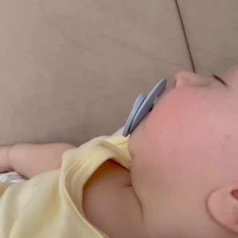 Пустышка BIBS латекс классическая от 0 мес.: отзыв пользователя Детский Мир