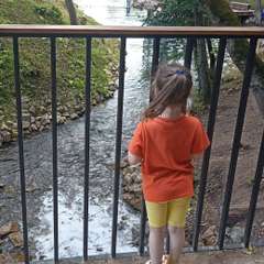 Фото отзыва 10642747