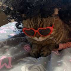 Фото отзыва 10648754