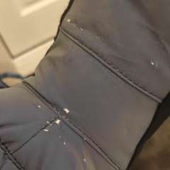 Фото отзыва 2755626