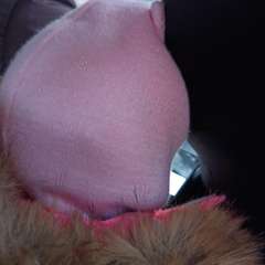 Фото отзыва 10799625