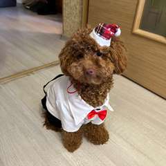 Фото отзыва 10742103