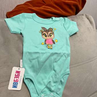 Боди Ивбэби: отзыв пользователя Детский Мир