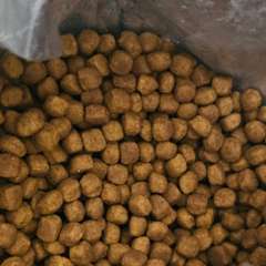 Фото отзыва 10818089