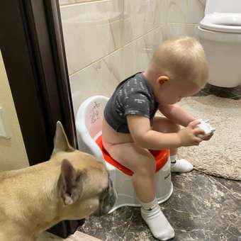 Горшок Babyton Sam Dino life: отзыв пользователя ДетМир