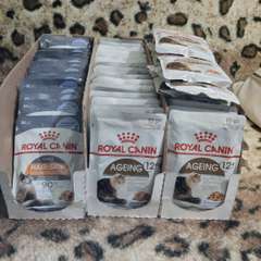 Фото отзыва 11218663