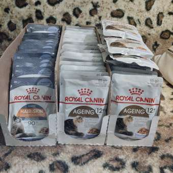 Корм для кошек Royal Canin 85г Hair and skin для поддержания здоровья кожи и красоты шерсти тонкие ломтики в желе: отзыв пользователя. Зоомагазин Зоозавр