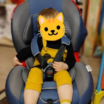Автокресло Babyton Bony Blue Grey 1/2 (9-25 кг) синий: отзыв пользователя Детский Мир