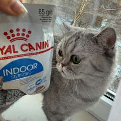 Фото отзыва 10753060