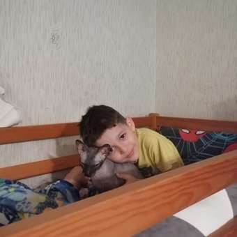 Корм сухой для кошек ROYAL CANIN Sphynx 400г породы сфинк: отзыв пользователя. Зоомагазин Зоозавр