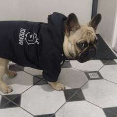 Фото отзыва 10625455