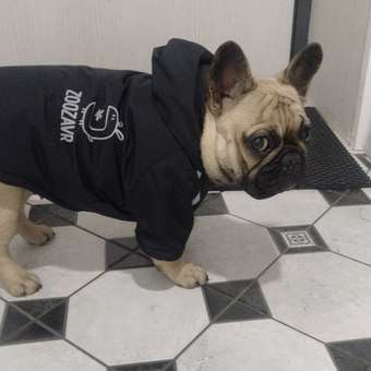 Куртка для собак Зоозавр чёрная 45: отзыв пользователя. Зоомагазин Зоозавр