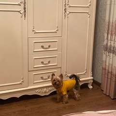 Фото отзыва 10845381