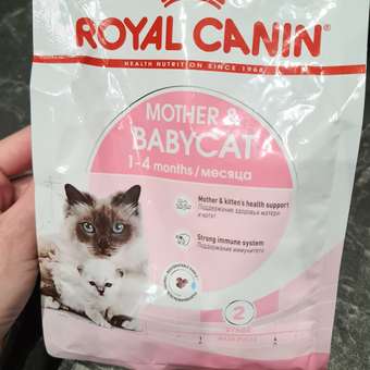 Корм для котят Royal Canin Mother and Babycat 400г: отзыв пользователя. Зоомагазин Зоозавр