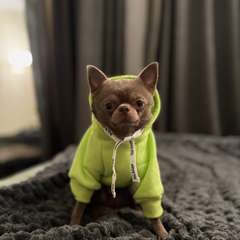 Фото отзыва 11225456