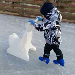 Фото отзыва 10782145