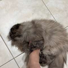 Фото отзыва 10720970