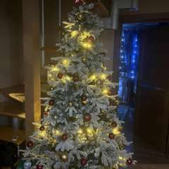 Фото отзыва 10909312