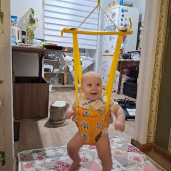 Прыгунки подвесные Babyton оранжевый: отзыв пользователя ДетМир