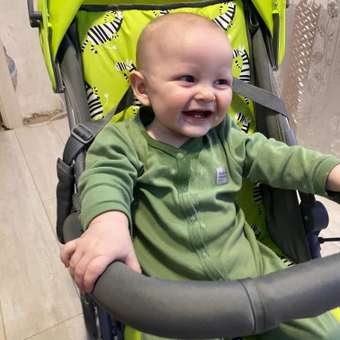 Коляска прогулочная Babyton Zoo Green: отзыв пользователя ДетМир