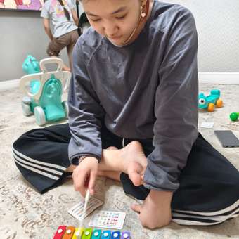 Игрушка музыкальная BabyGo Стучалка металлофон: отзыв пользователя Детский Мир