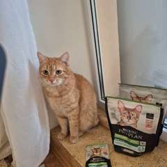 Фото отзыва 10594088