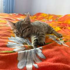 Фото отзыва 10472351