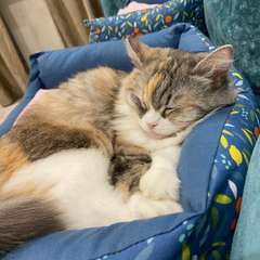 Фото отзыва 10838928