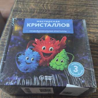 Набор для опытов WOW! HOW? Мастерская кристаллов: отзыв пользователя Детский Мир