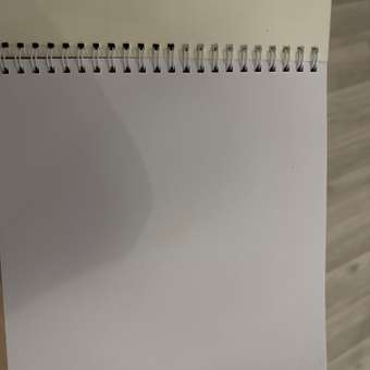 Скетчбук Cancburg Авокадо 50 лист. 1 шт.: отзыв пользователя Детский Мир