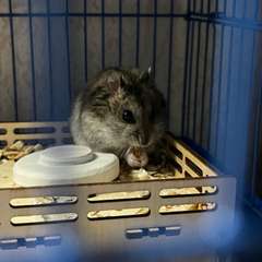 Фото отзыва 10909339