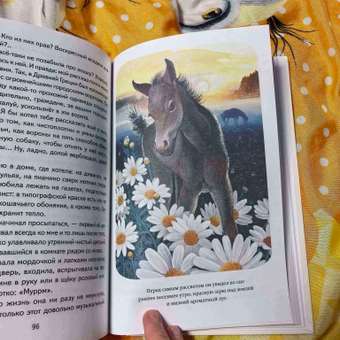 Книга Эксмо Чудесный доктор. Рассказы (ил. Е. Захаревич): отзыв пользователя Детский Мир