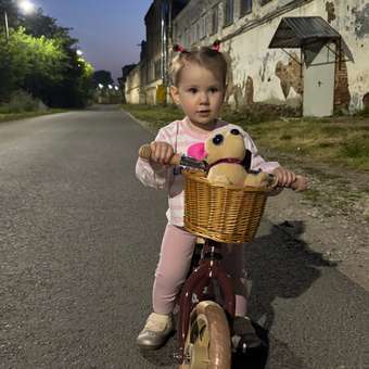 Двухколесный беговел Happy Baby 10 дюймов: отзыв пользователя Детский Мир