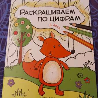 Книга МОЗАИКА kids Раскрашиваем по цифрам. В лесу: отзыв пользователя Детский Мир