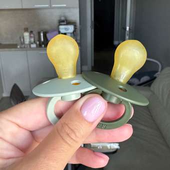 Пустышка BIBS от 0 мес. 2 шт.: отзыв пользователя Детский Мир