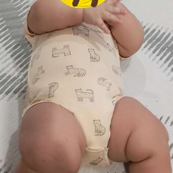 Боди Baby Gо 2 шт: отзыв пользователя Детский Мир