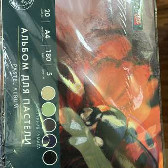 Альбом Brauberg для пастели А4 20 лист. 1 шт.: отзыв пользователя Детский Мир