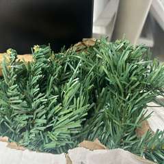 Фото отзыва 10777523